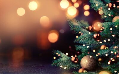 A Guide to Buying Live Christmas Trees in Kelowna BC