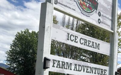 A Journey into Farm-Fresh Vegetables in Kelowna, BC