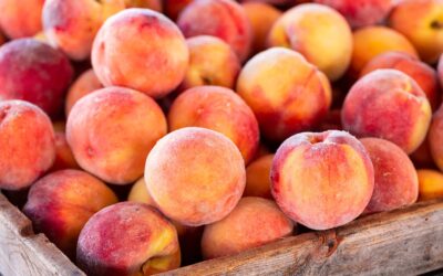 Fresh Peaches In Kelowna Don-O-Ray Farms