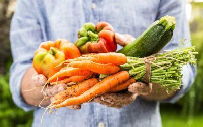 Fresh Farm-to-Table Vegetables Grown in Kelowna
