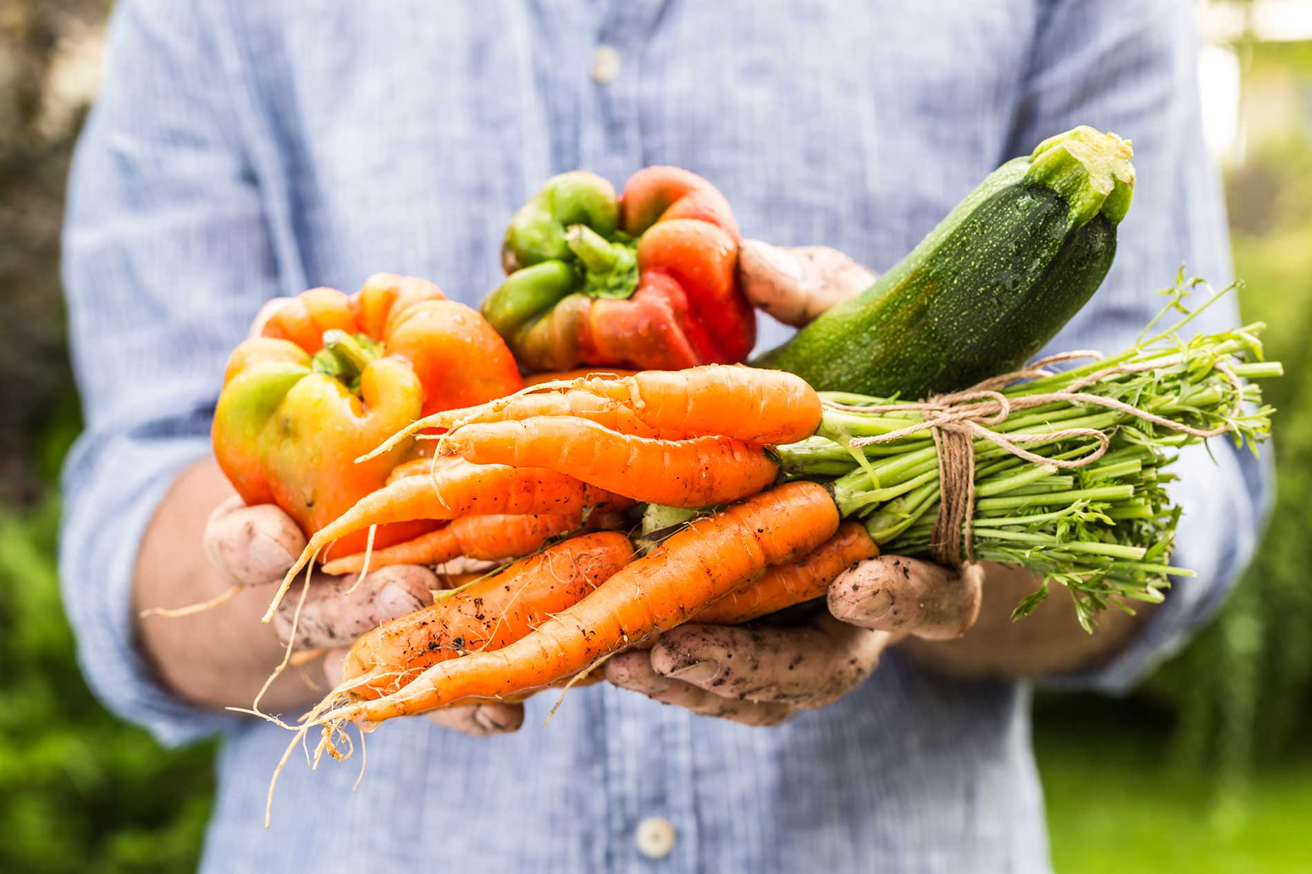 featuredimage-Fresh-Farm-to-Table-Vegetables-Grown-in-Kelowna