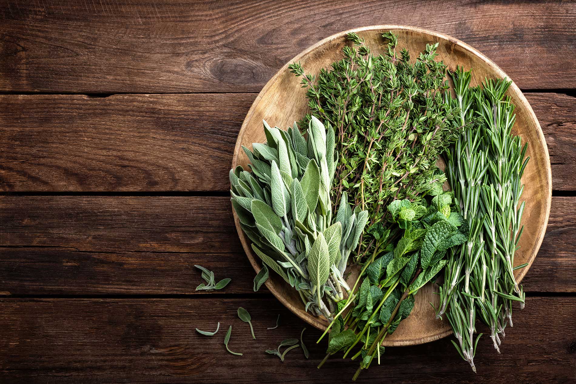 featuredimage-The-Value-in-Fresh-Herbs