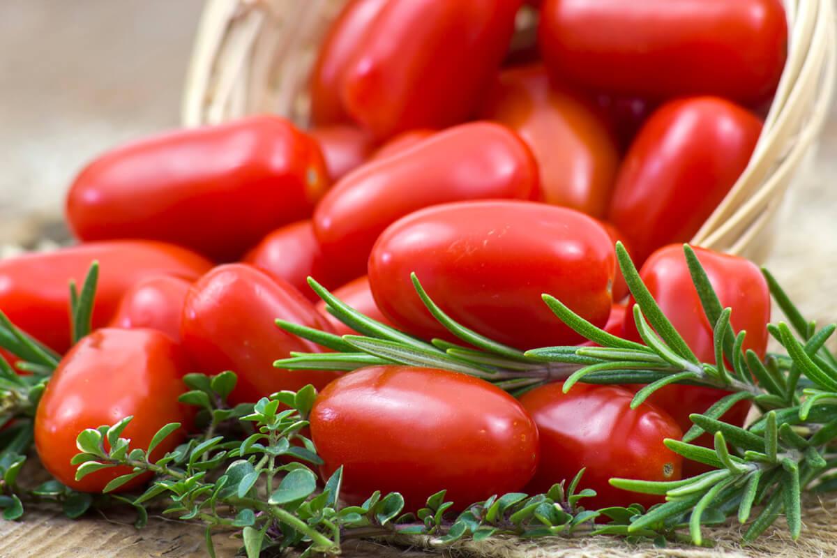 mini roma tomatoes and herbs
