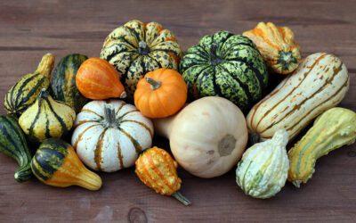Squash: The Versatile Vegetable